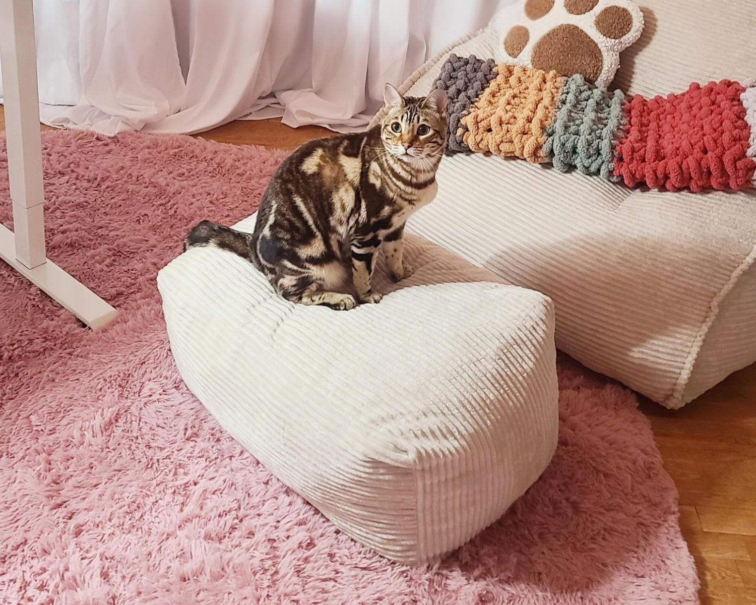 Inspired by Real Fur Babies